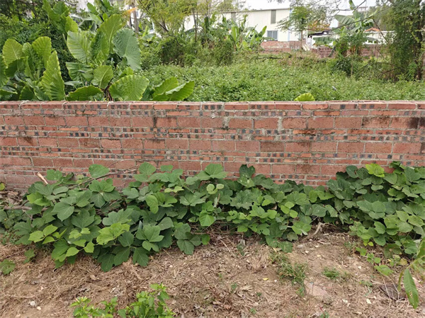 1764318479779281.jpg DM_20251128162533_006.jpg